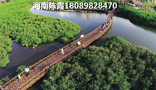 现在可以在海南买房子了吗