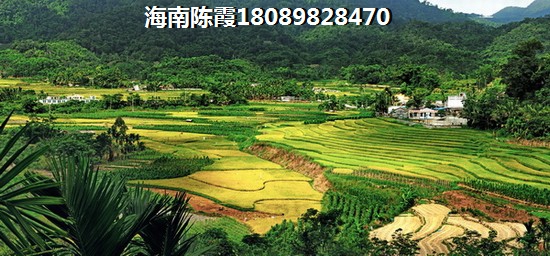 海南保亭县城买房有生纸空间吗？